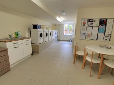 Picture 12